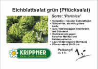 Eichblatt grün